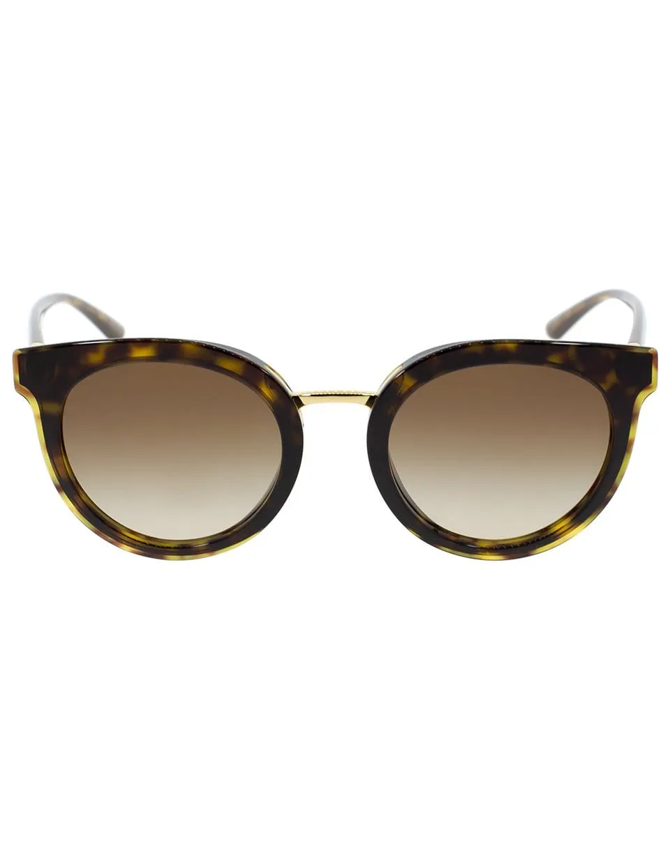 Round Havana Sunglasses